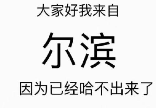 剧本杀吃瓜内容,一场吃瓜群众的狂欢盛宴